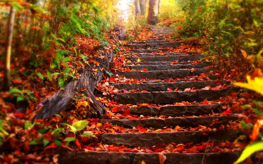 Download new autumn wallpaper for computer in HD quality