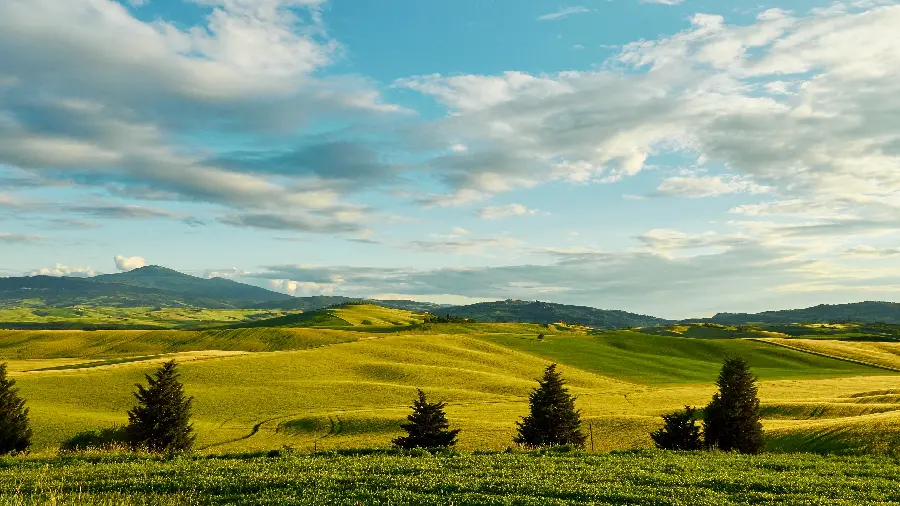 Scenic landscape with attractive clouds and yellow flowers for tablet wallpaper 