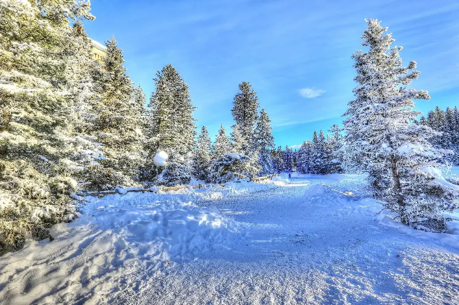 Photo of winter nature of Canada 4K