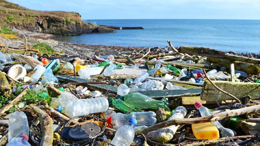 Surprising photo of plastic waste on the beach that you would not imagine 