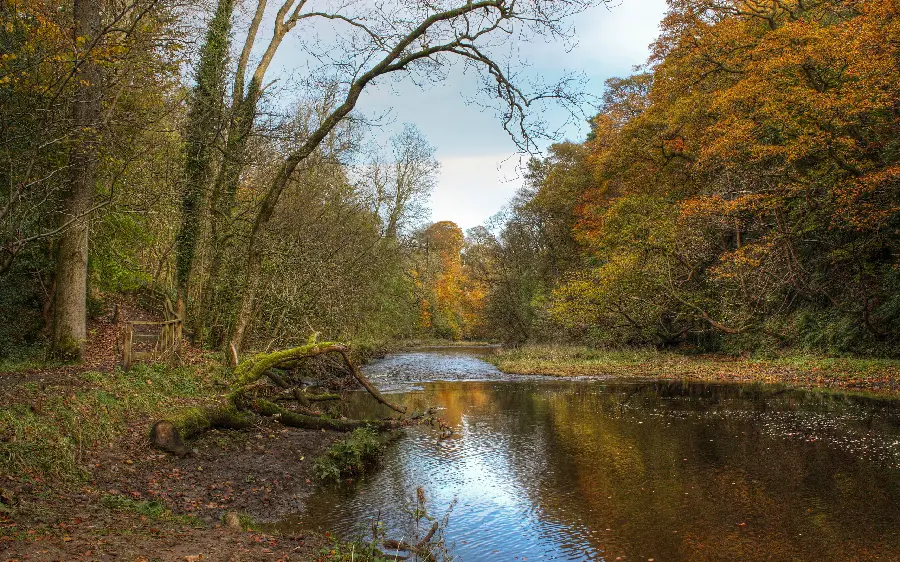 A masterpiece of autumn nature suitable for high-quality banner printing