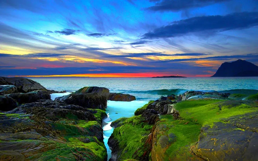 Unique Scandinavian Nature Image with Happy and Colorful Theme 2023
