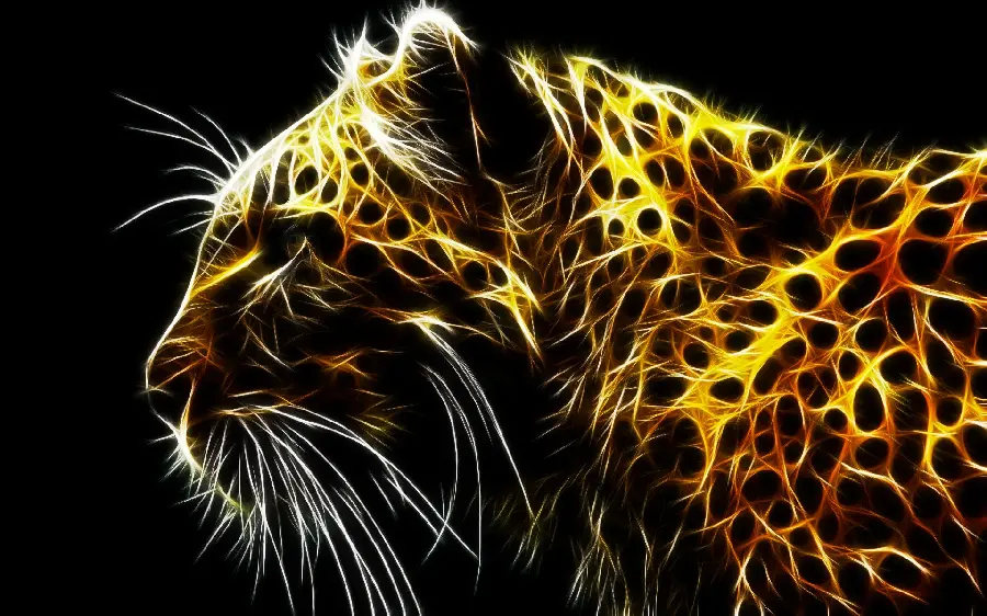 Magnificent tiger and leopard image with special quality for printing posters and paintings
