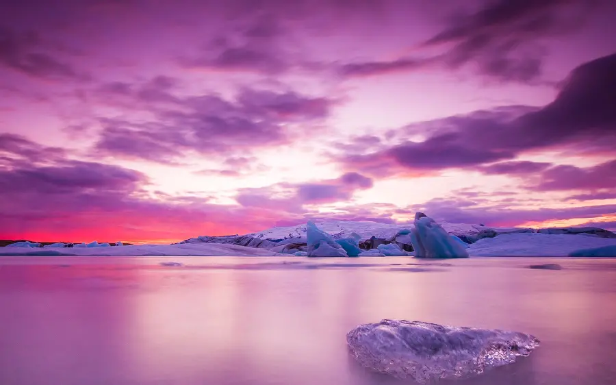 The most special purple nature photo for banner printing 1401