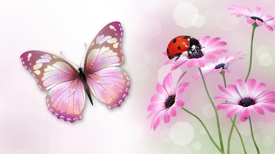 Ladybug and Pink Butterfly Images