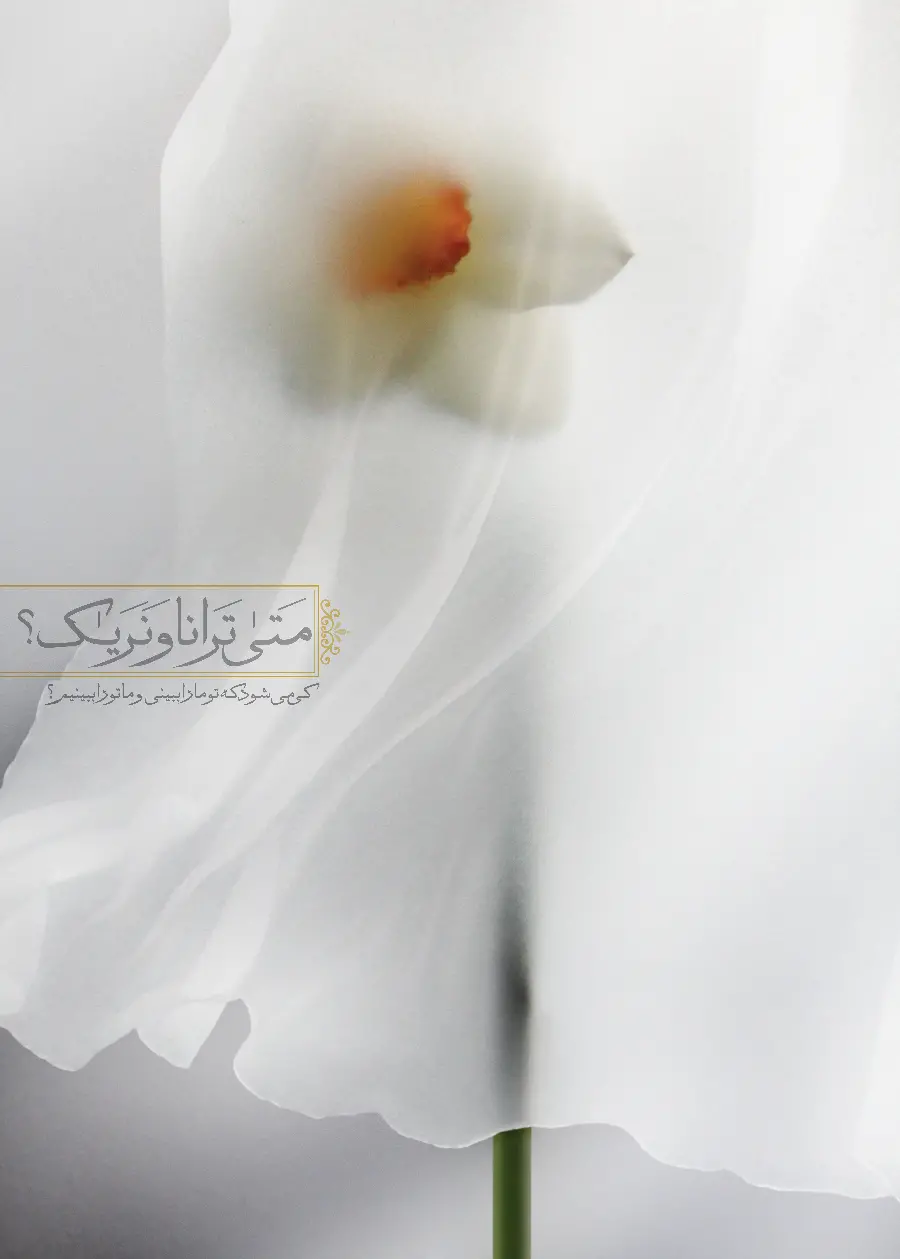 Download wallpaper of Imam Zaman for mobile and phone 1402