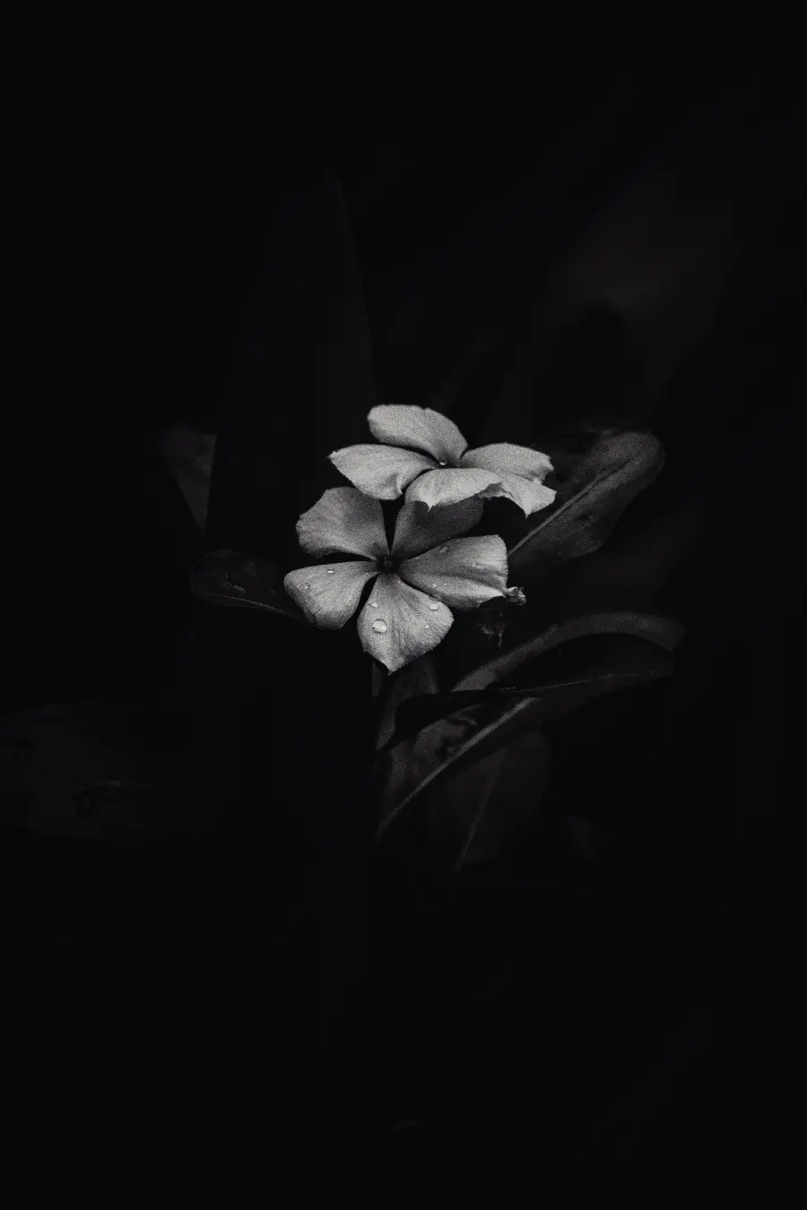 Black Sad and Romantic Pictures for Instagram Stories and Posts
