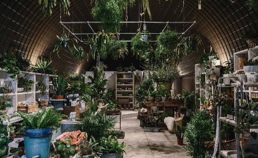 Photo of houseplant greenhouse