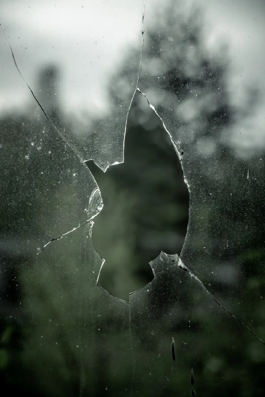 Download Background of broken glass with a promising green nature background