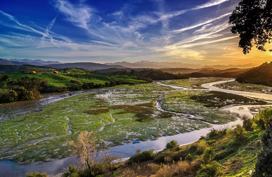 Download full hd quality nature photo for banner printing