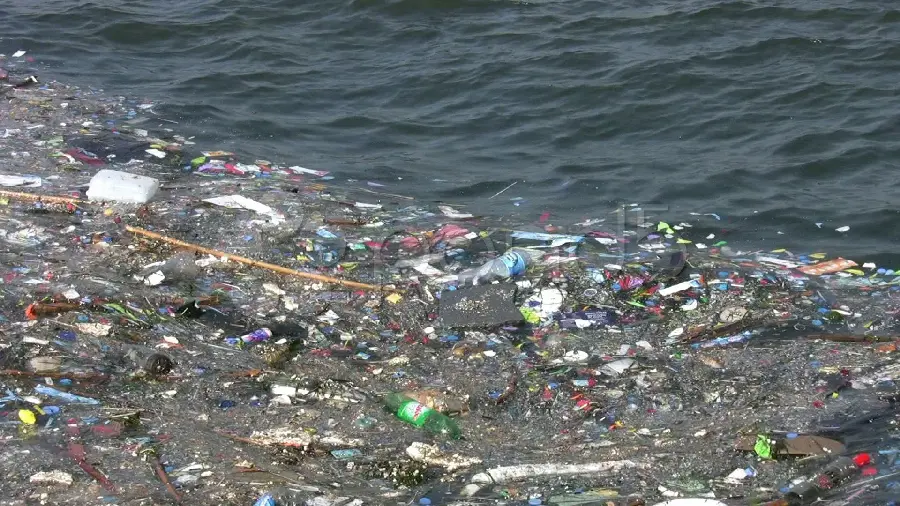 Download incredible pollution photos by the water that are damaging the environment