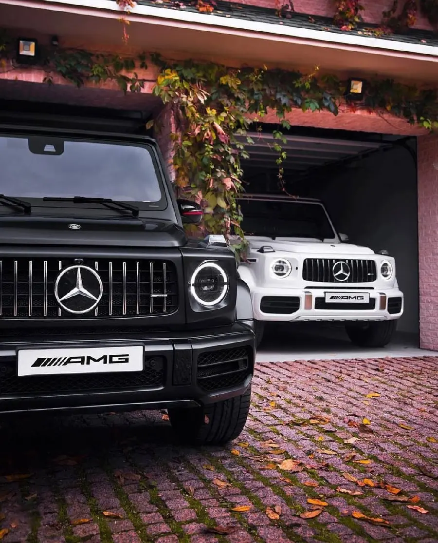 Mercedes Benz AMG G63 Picture