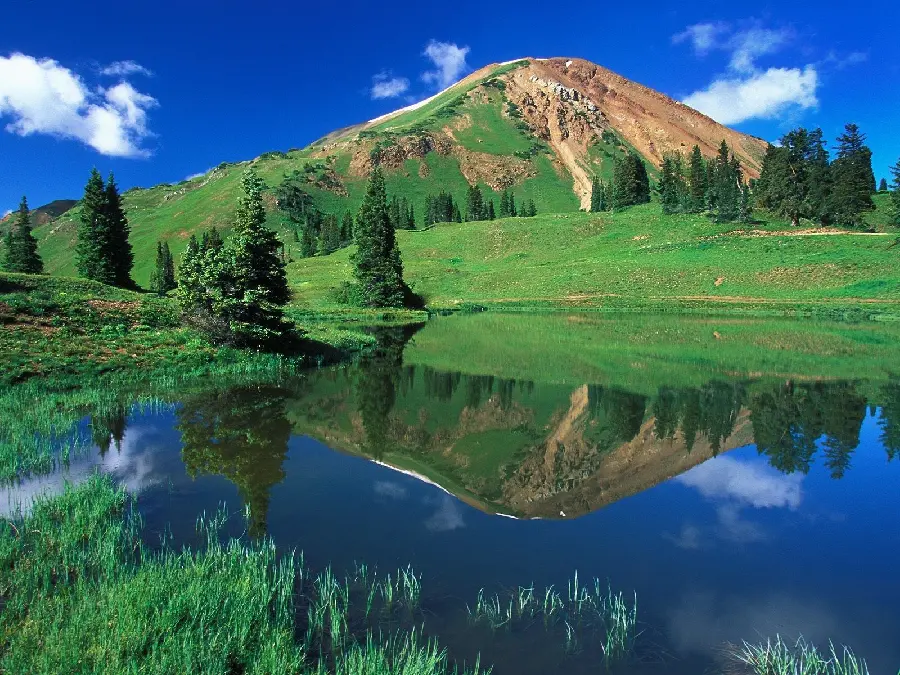 The best lovely nature image around the lake suitable for printing on a poster