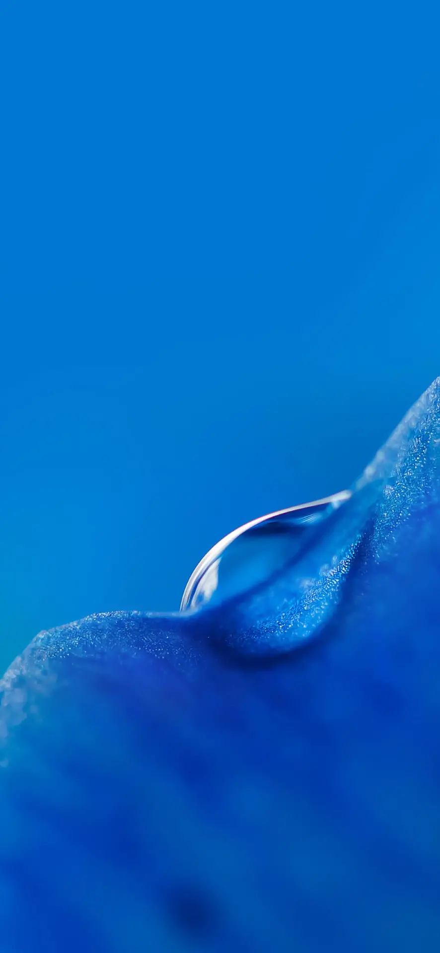 Blue Drop Background and Drop Background for Mobile