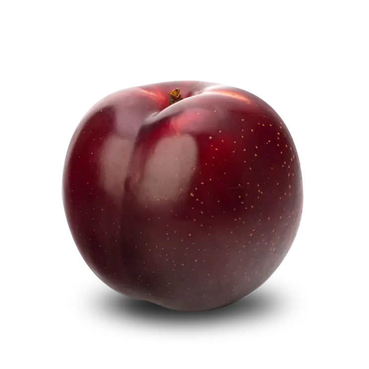 PNG ripe round red plums suitable for business accounts