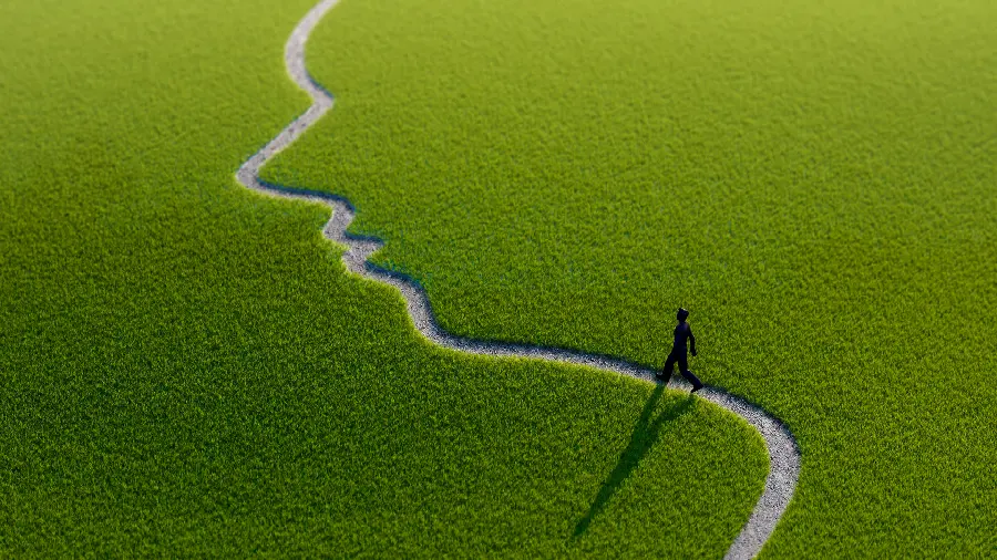 Cool and interesting hd photo of walking in the grass with a human profile