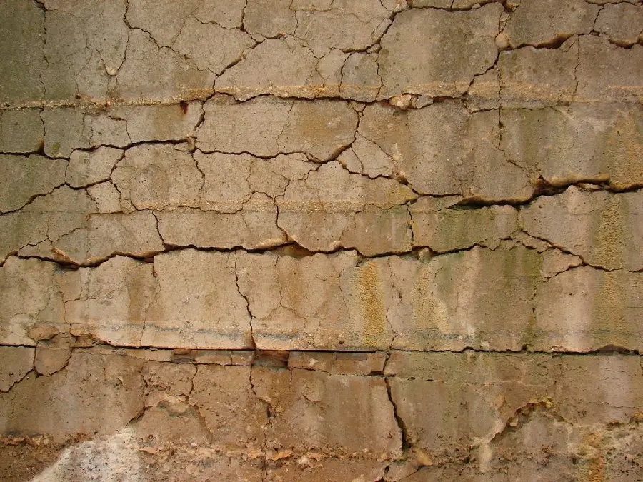 New cracked cream stone wall material for Vieri in high quality