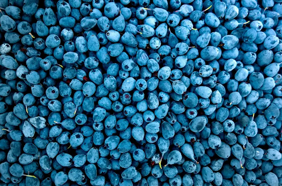 10K Blueberry Background
