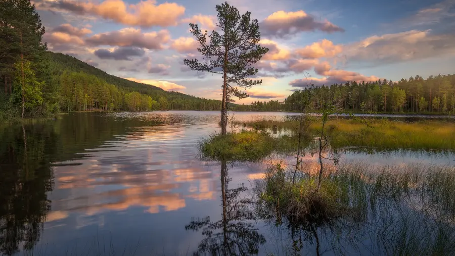 Great photo of beautiful blue and cloudy sky suitable for desktop wallpaper 