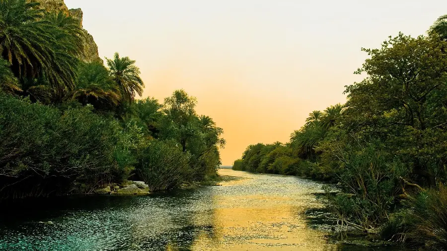 Photo of a long river in the forest with a gentle sunlight 