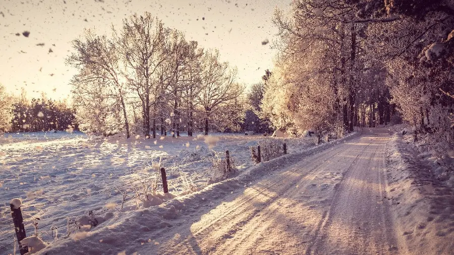 High quality winter photo