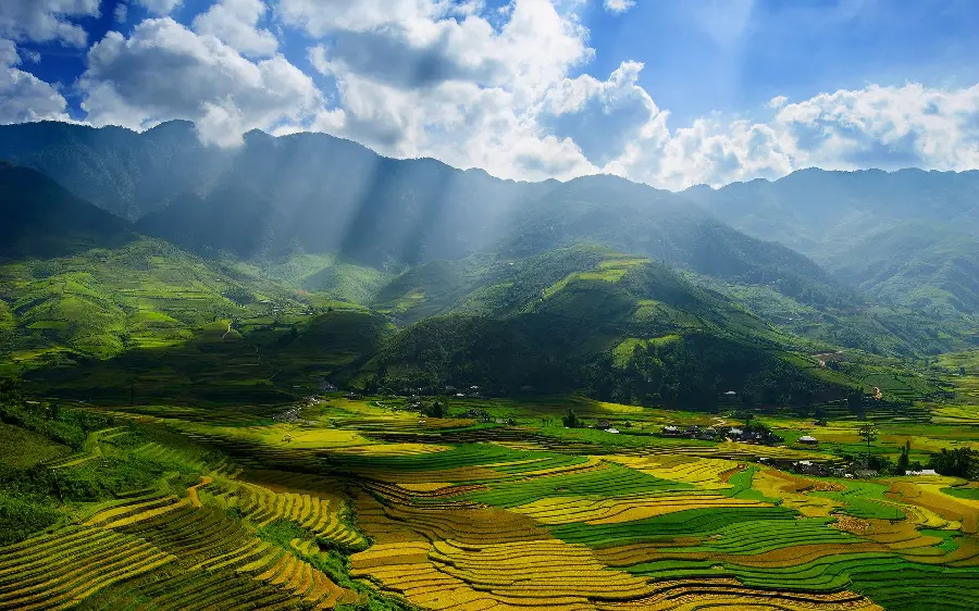 Nature full hd background with spectacular green plain design
