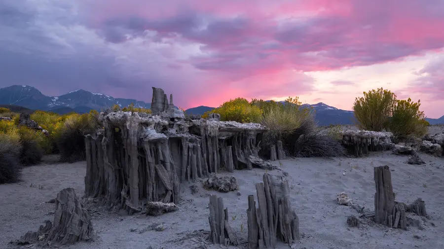 The most interesting sandy nature view under a purple sky