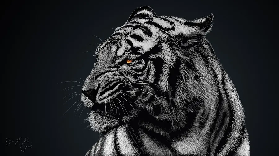 Tiger Graphic Background