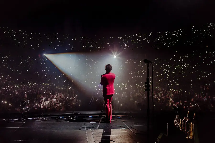 Dreamy image of Harry Styles concert in red coat