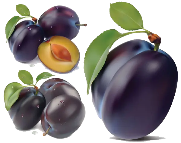 Download lovely Full HD view of nutritious plums