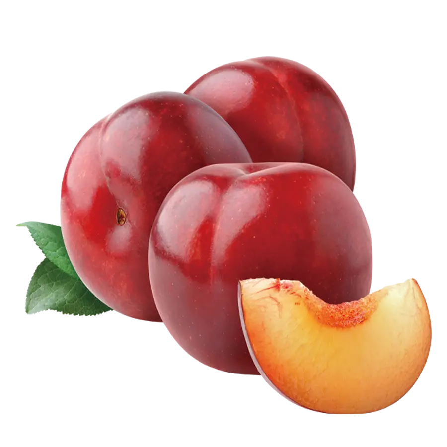 Download quality image of plum with excellent benefits