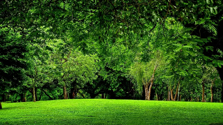 Download nature wallpaper for Windows desktop