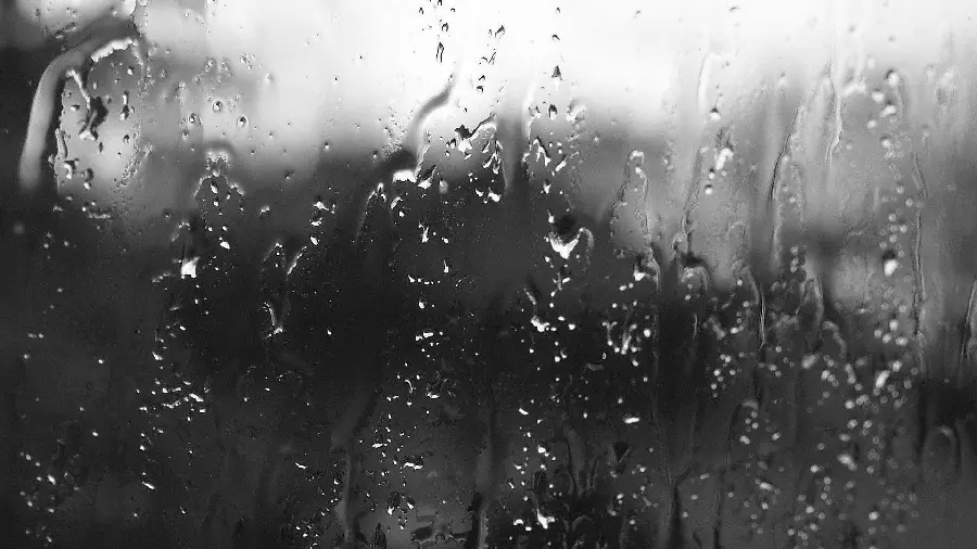 Black and White Rain Behind the Glass Wallpaper with Unique Full HD Quality