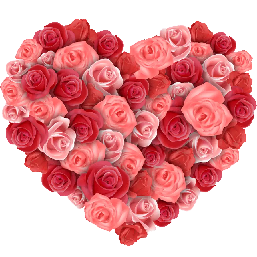 Red and pink roses in the shape of a heart without background png
