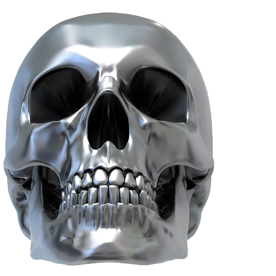 Silver HUMAN SKULL HEAD Image from Below