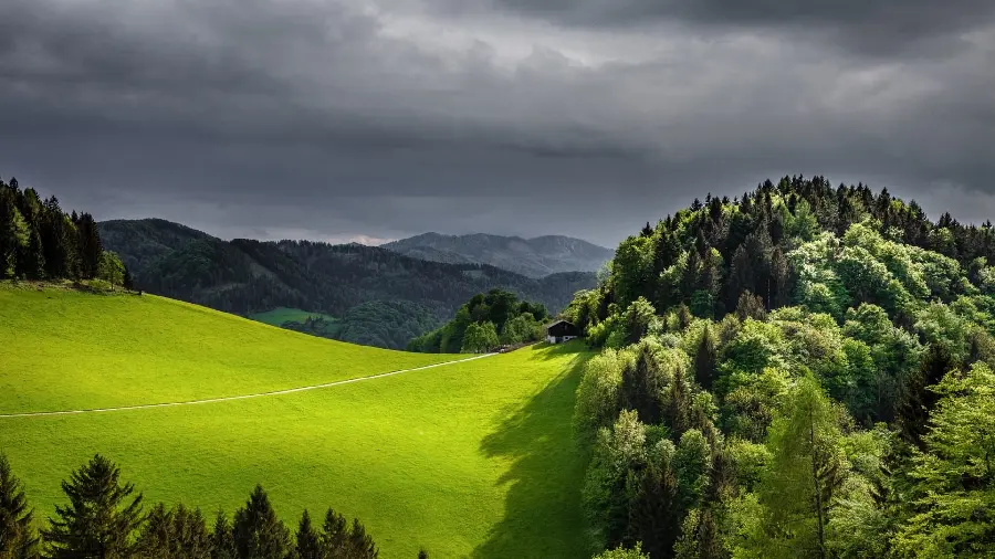 Scenery profile photo of spring nature of the year and beautiful areas
