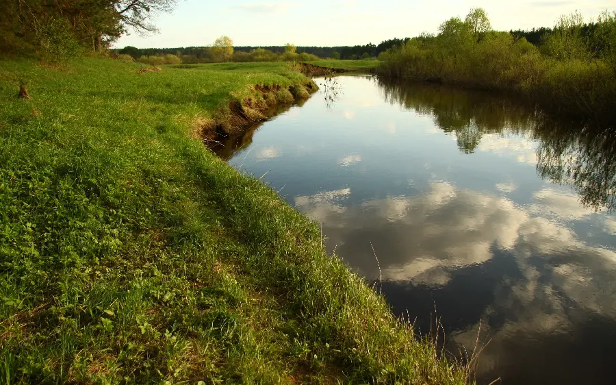 Lovely picture of beautiful greenery by the river