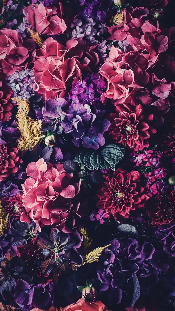 Colorful flowers stock photo with a vertical frame for the background