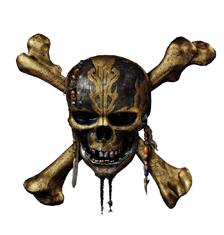 Rough Pirate Skull Image in Teleportation