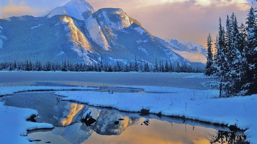 Canada Nature Winter Background