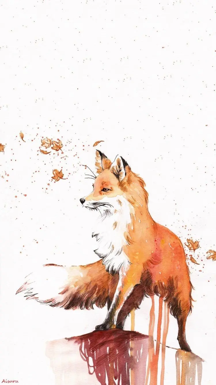 Beautiful Fox Painting Photo