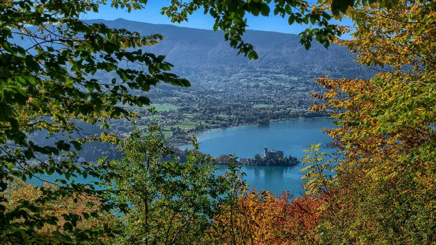 Interesting image of orange and green trees in high quality 