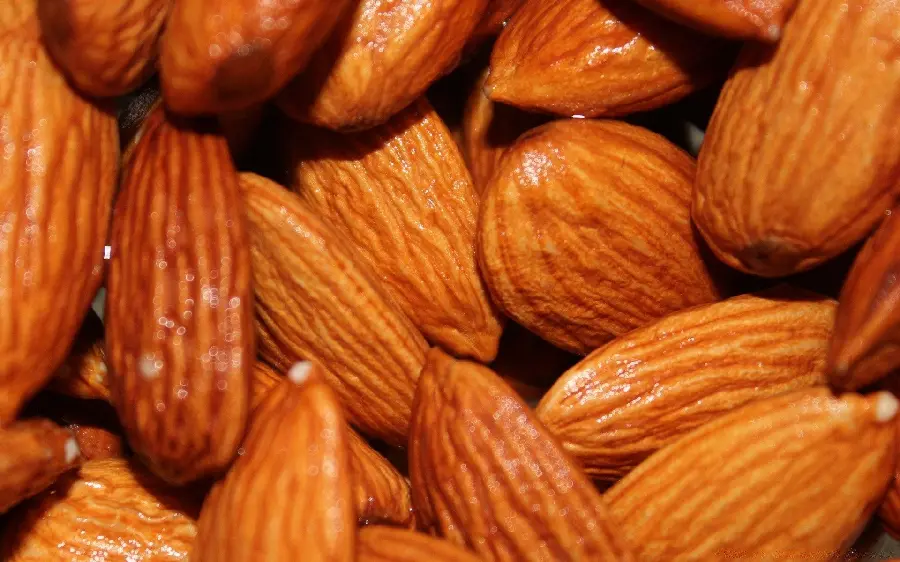 Delicious Salted Almond Tree Photo Full HD Quality