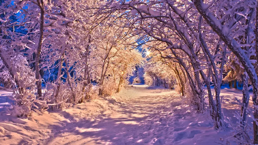 The most beautiful snow tunnel in nature with a gentle sunlight