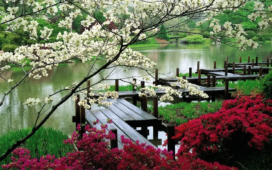 Photo of lake and pier in nature of Japan