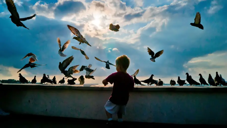 Cute and beautiful baby girl photo