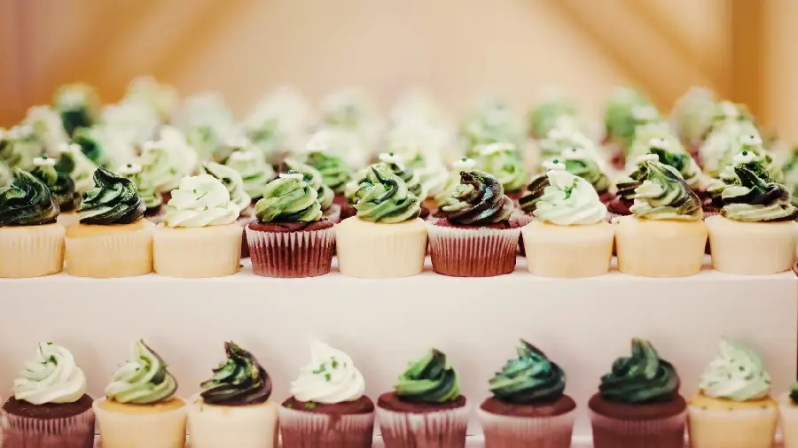 Chocolate Vanilla Cupcake with Green Cream Decoration for Dessert