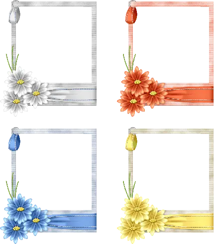 Photo of open-layer frames in png format and without background for editing photos and text