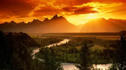 High-Quality Images of India's Nature and Unique Attractions