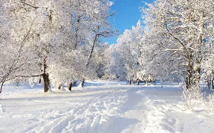 Download 40 New and Stylish Winter HD Photos for 2023